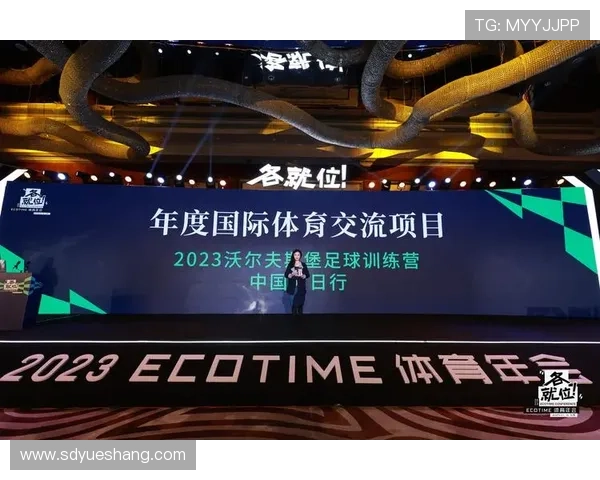 刘娜深度解析足球技巧与战术分享独家心得助你提升球技