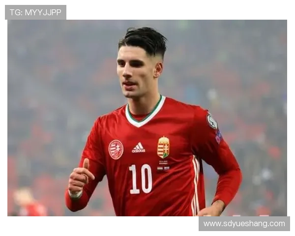 匈牙利队足球明星的辉煌历程与对世界足球的影响分析