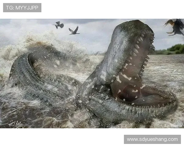 鳄鱼意外袭击致足球明星不幸遇难引发全球哀悼与关注