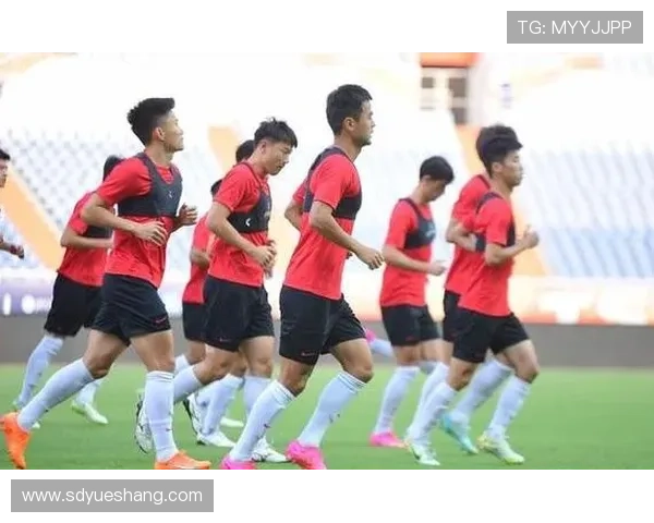 成都羽毛球队在全国锦标赛中的卓越表现与实力分析